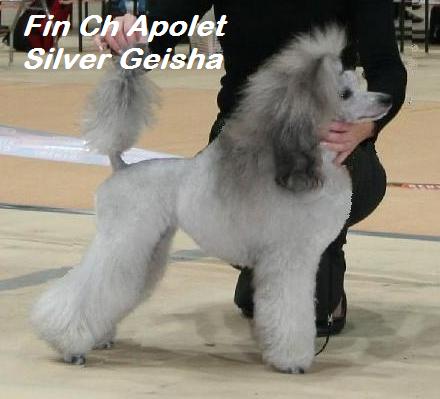 apoletsilvergeishab.jpg